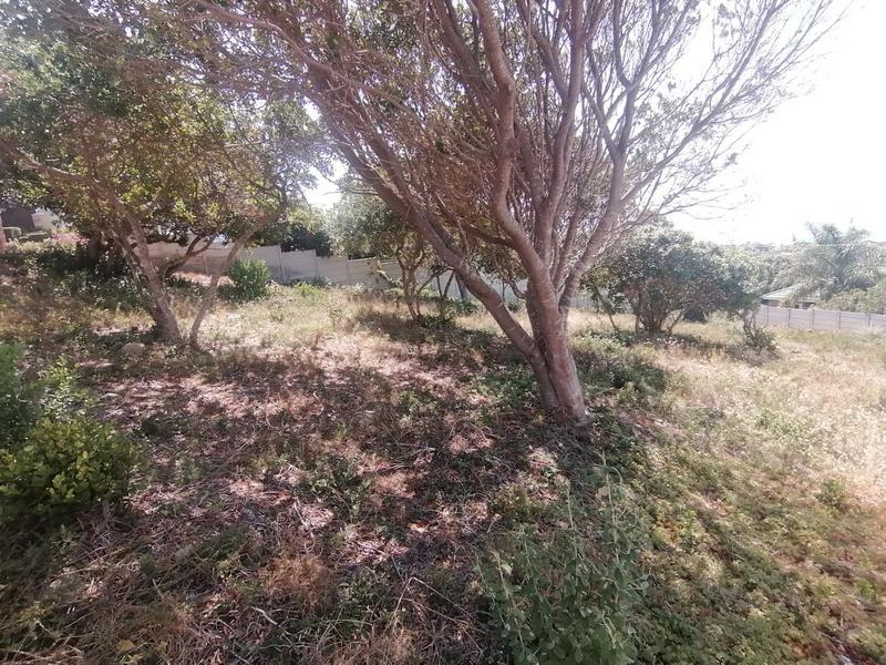 0 Bedroom Property for Sale in Tergniet Western Cape